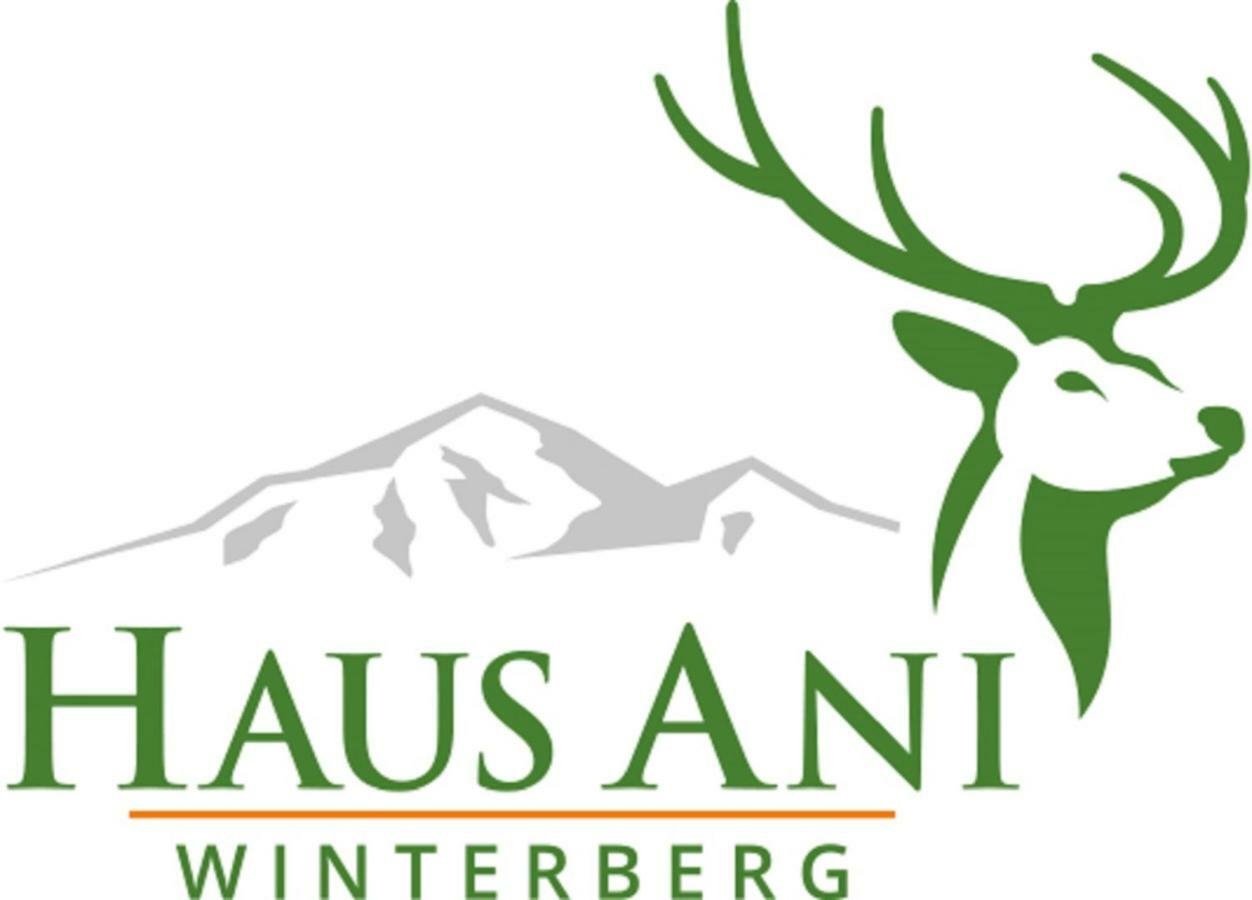 Haus Ani Winterberg别墅 外观 照片