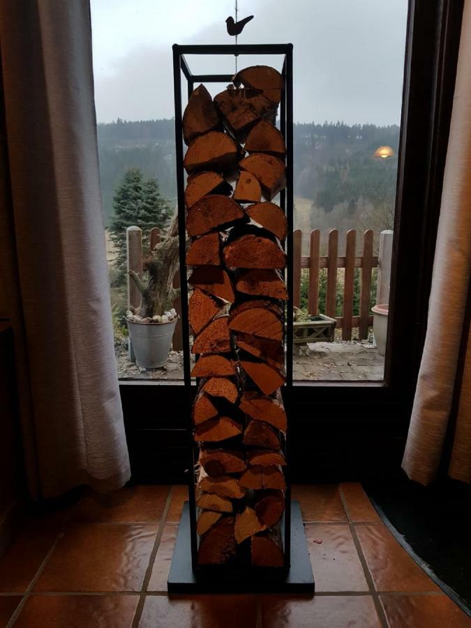 Haus Ani Winterberg别墅 外观 照片